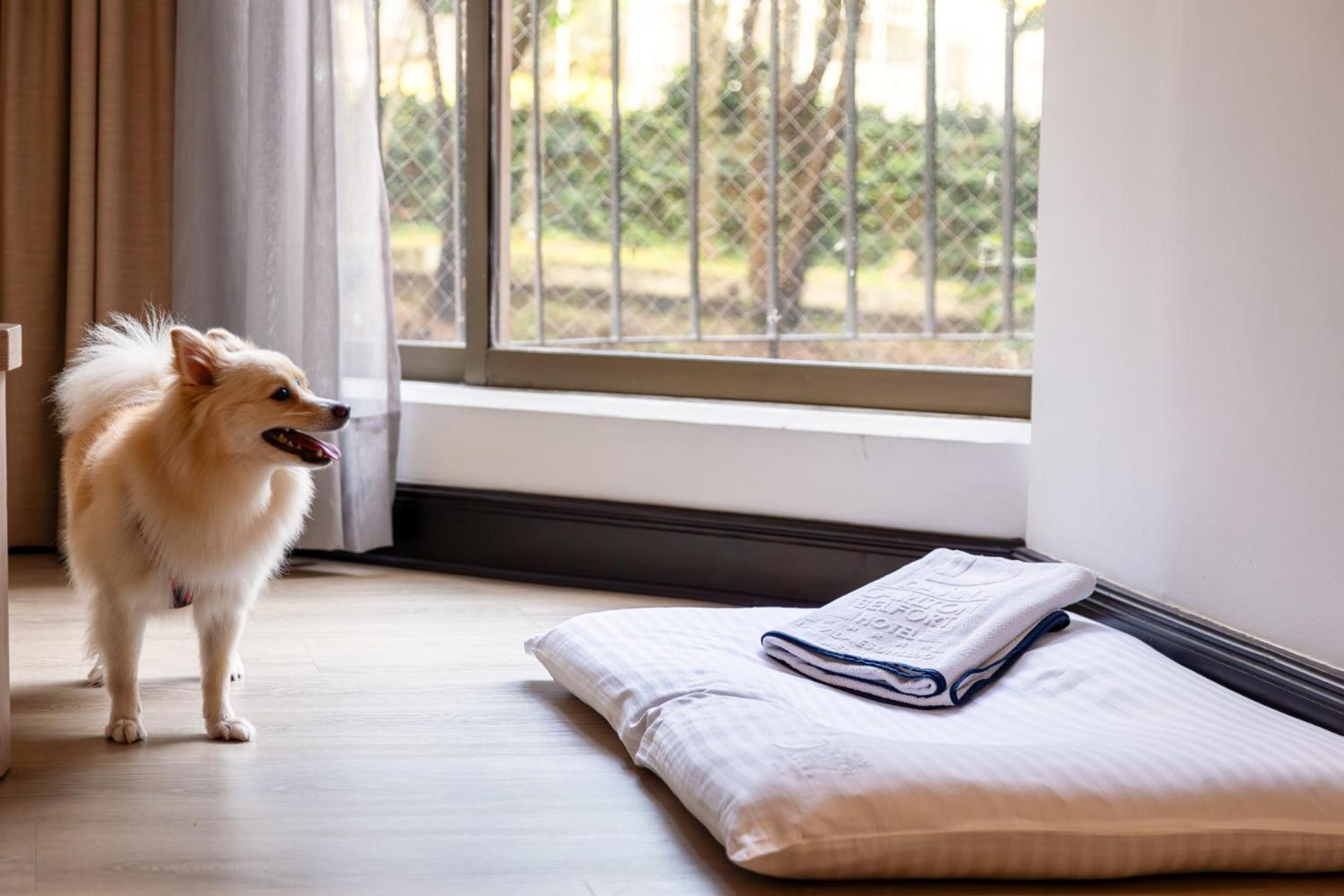 Hotel Dann Carlton Belfort Меделин Екстериор снимка A dog bed